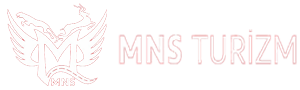 MNS Taşımacılık | Personel Servis Araç Temini | Öğrenci Servis Araç Temini | Fabrika Personel Taşımacılığı | Turizm Taşımacılığı